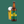 Load image into Gallery viewer, Citra bottles - case of 8x500ml
